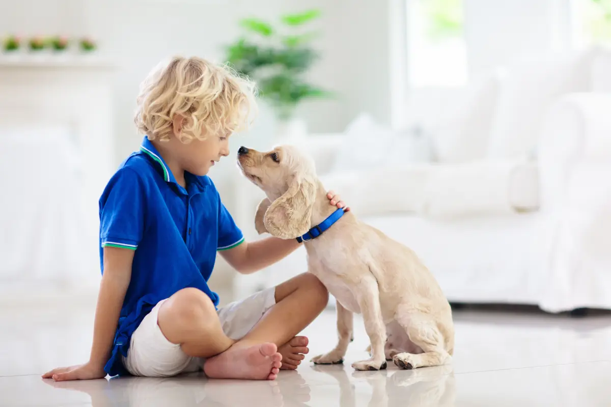 Pets, Policies, and Profit: Smart Guidelines for Contra Costa Landlords